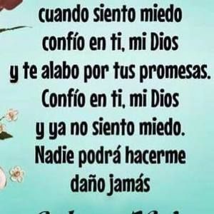 Meet your Posher, Bella